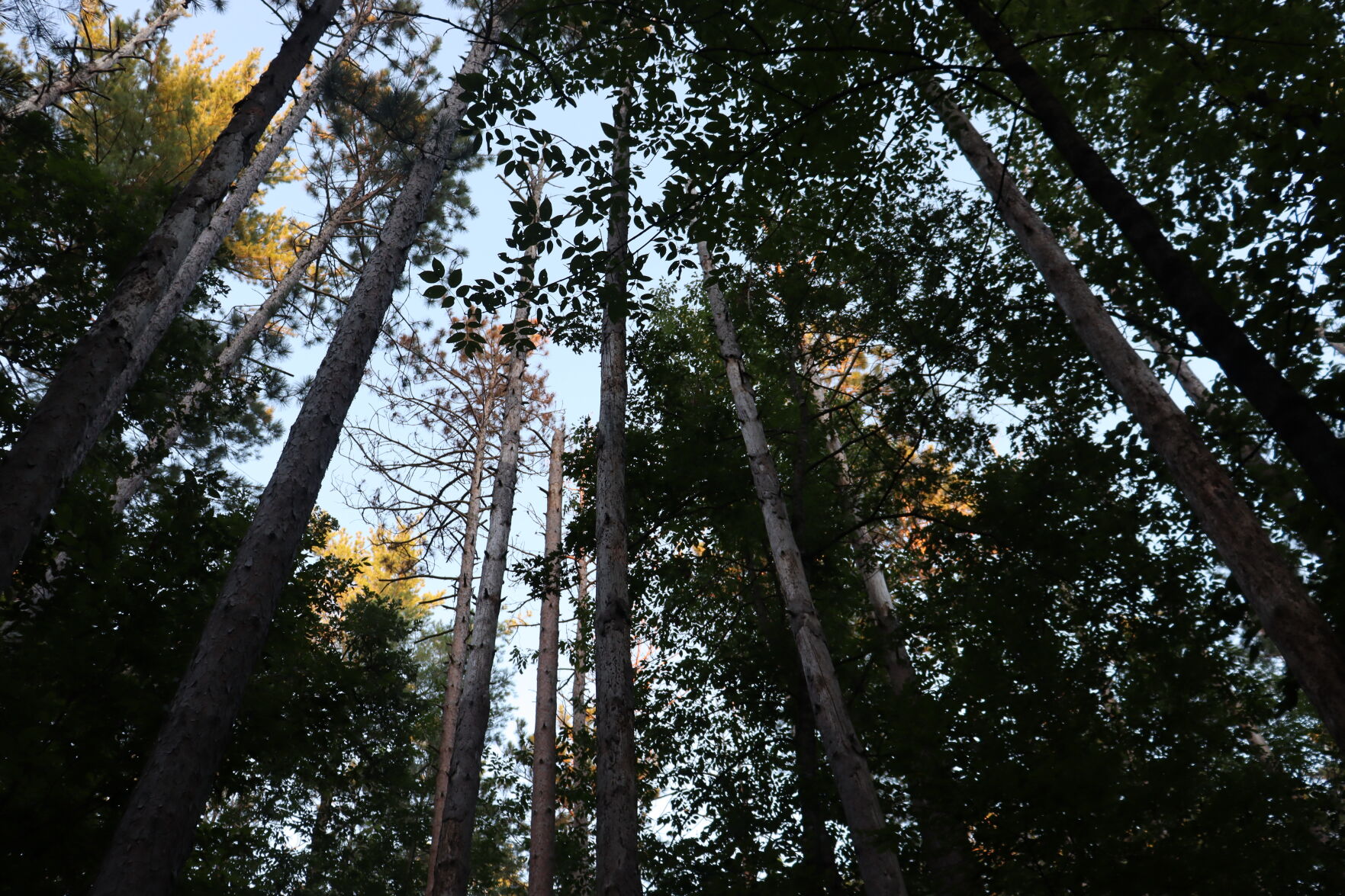 Brunet Island State Park